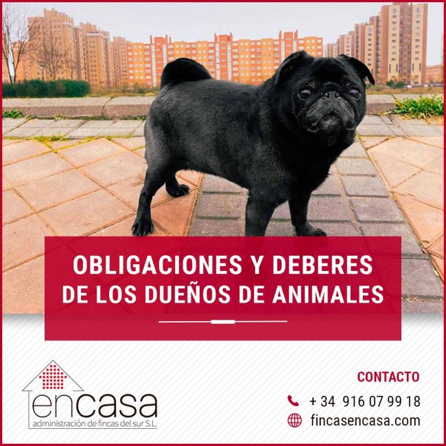 Obligaciones y deberes de los dueños de animales Obligaciones y deberes de los dueños de animales